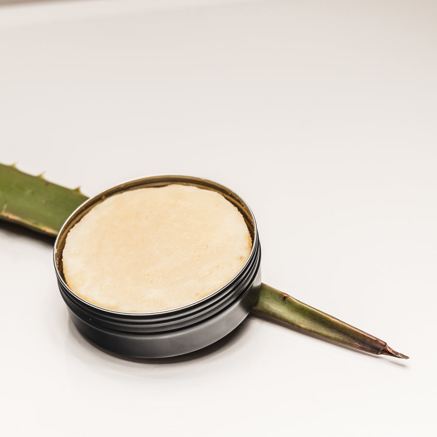 a solid shampoo bar in a black metal tin on an aloe vera leaf on a white background