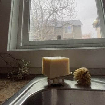 solid dish soap on kitchen sink next to dish scrubber brush and small white dried flowers with view through kitchen window