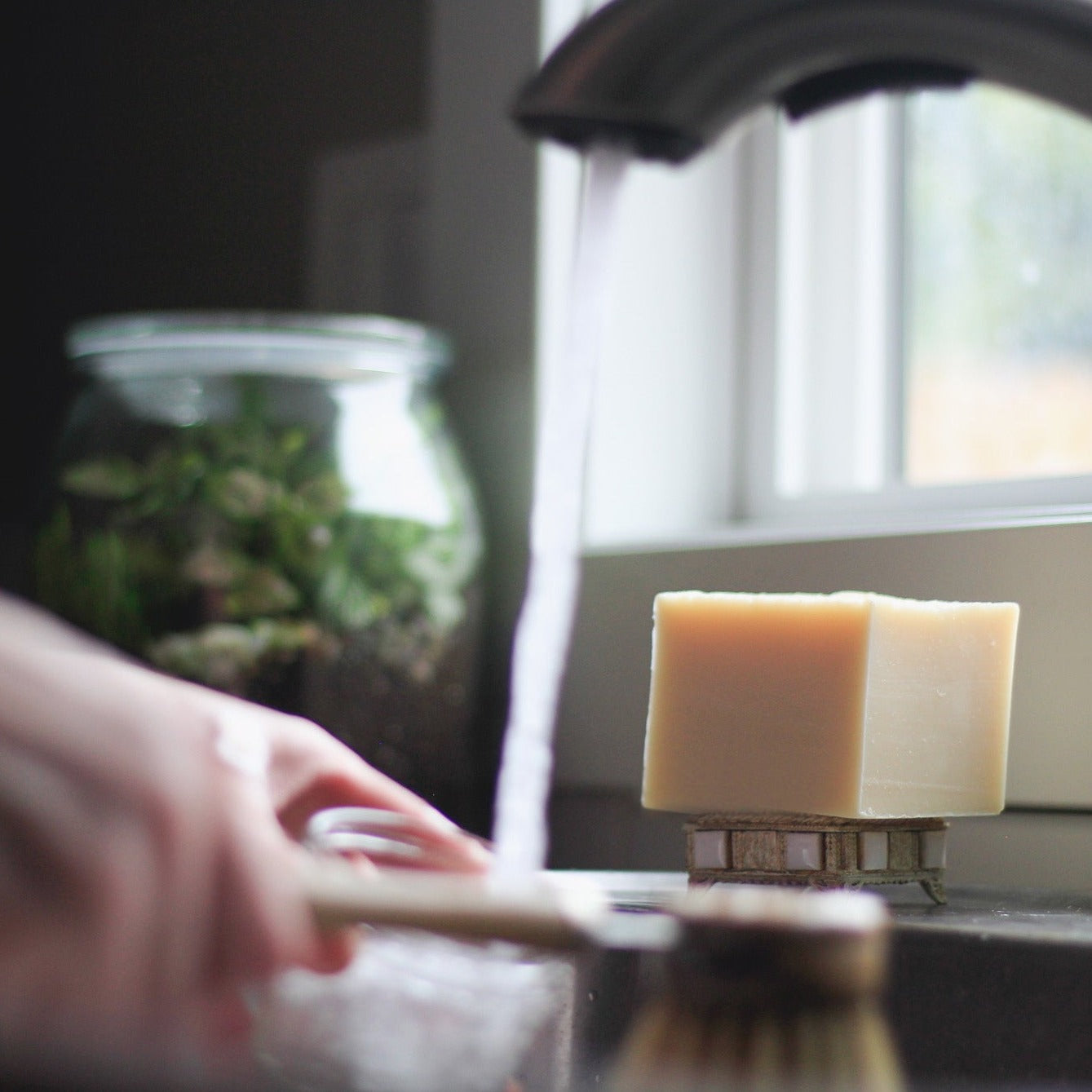 hand washing dishes with kitchen sink running and a block of solid dish soap and a terrarium in background