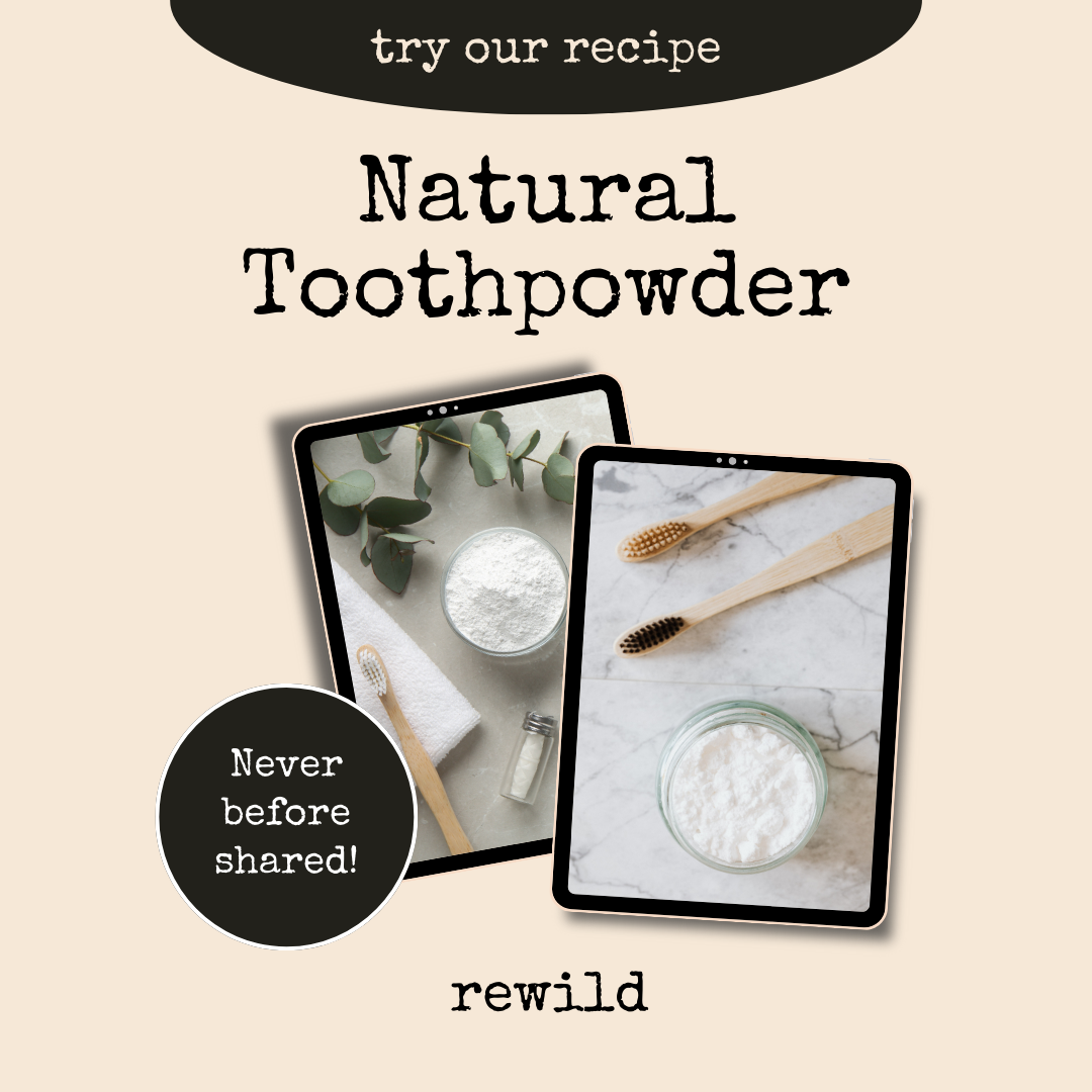 cover photo promoting our toothpowder recipe