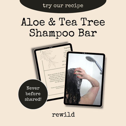 cover photo promoting our aloe & tea tree shampoo bar recipe