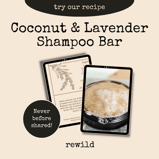 cover photo promoting our coconut & lavender shampoo bar recipe