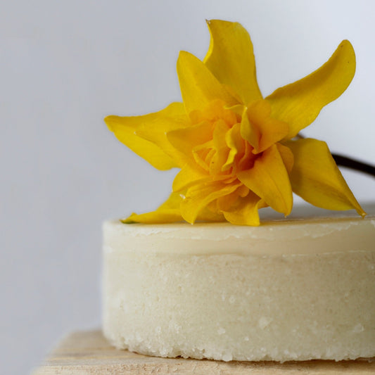 closeup picture of solid lotion bar with a yellow flower on top