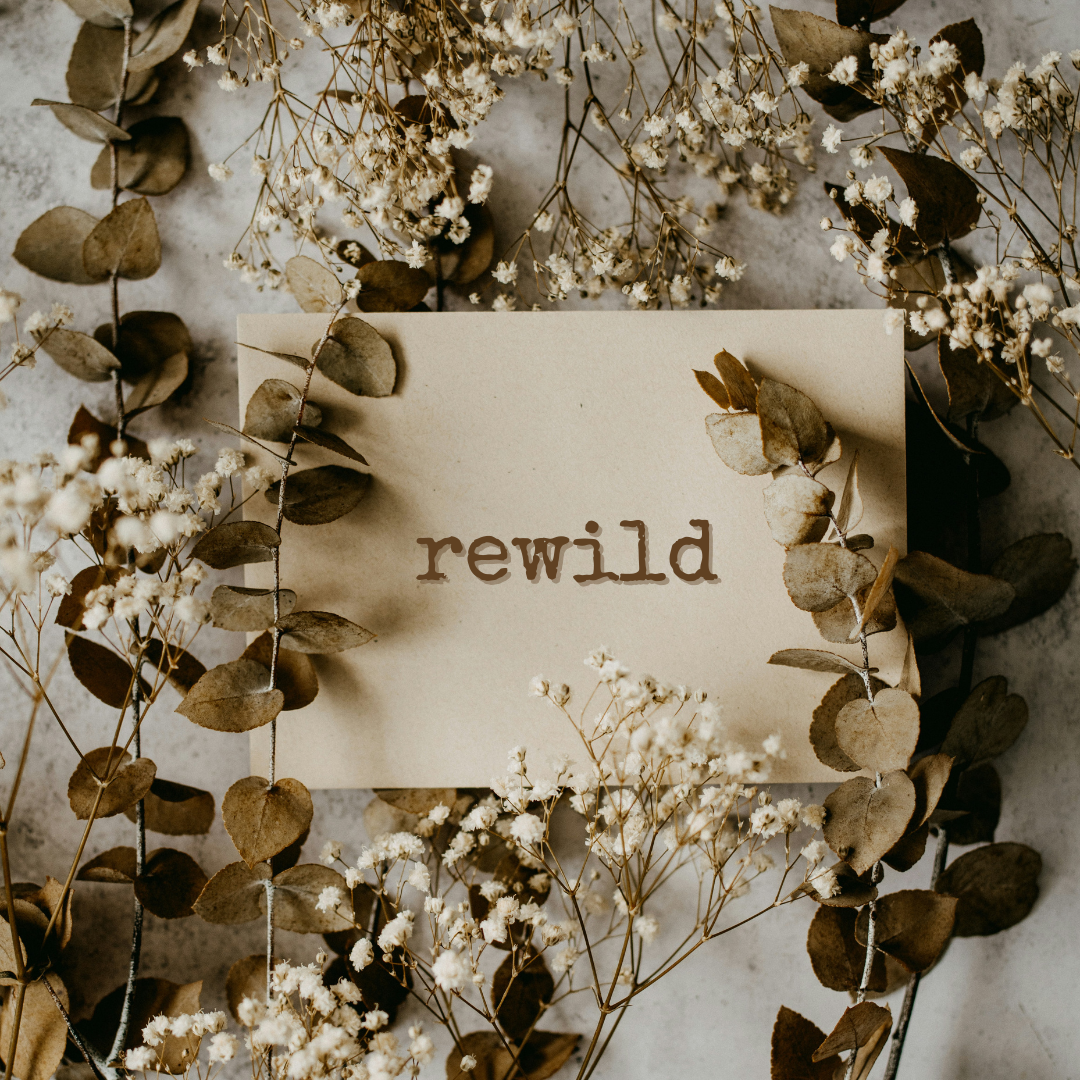 rewild gift card